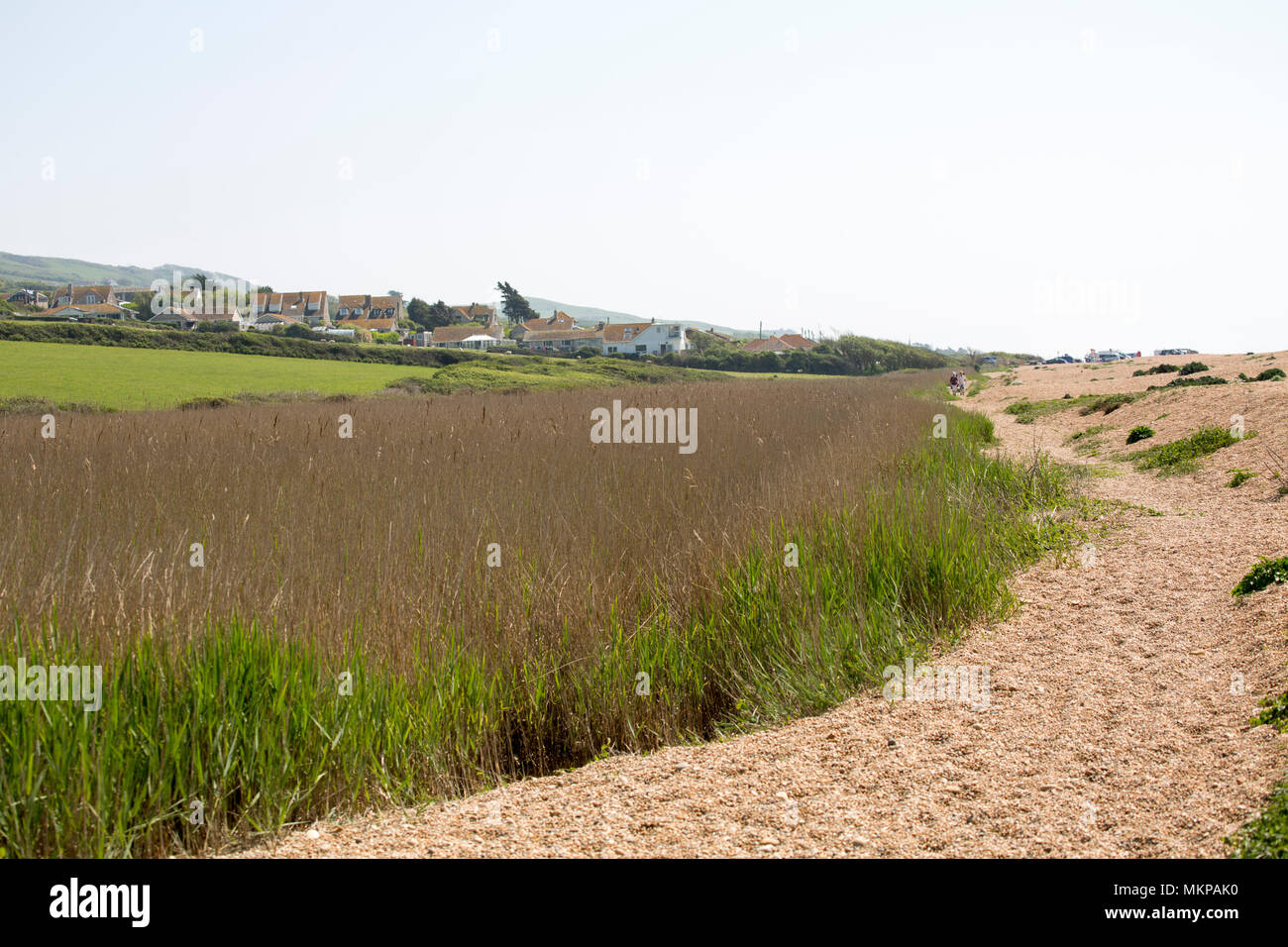 Visiting west bexington hires stock photography and images Alamy