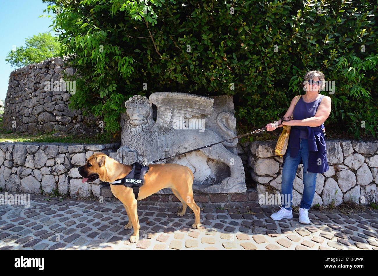 Rijeka, Croatia. Trsat castle.  It is thought that the castle lies at the exact spot of an ancient Illyrian and Roman fortress. A woman tourist with a Corso dog. In the background a bas-relief of the Lion of San Marco recalls the domination of Venice on these lands. Stock Photo