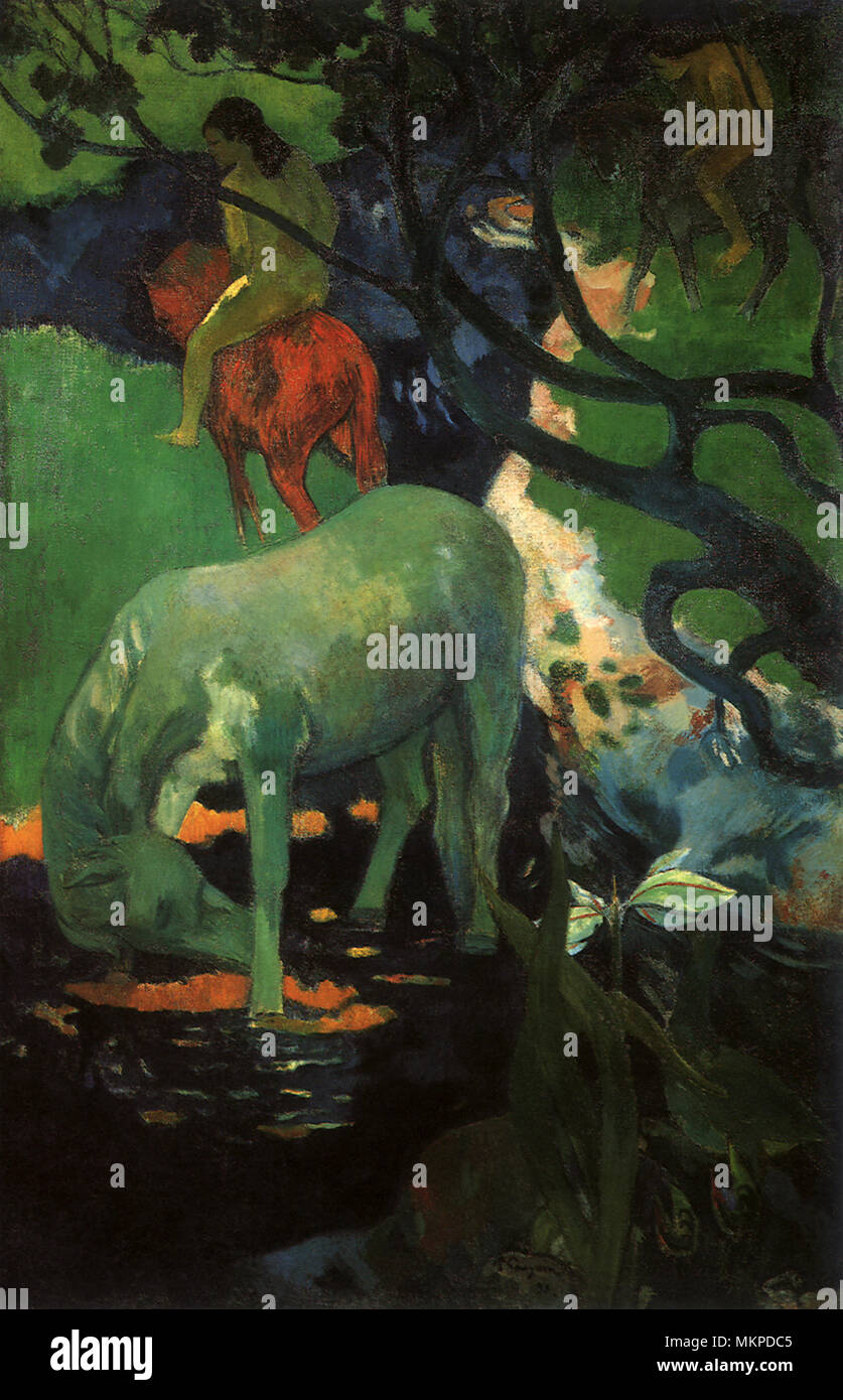 The White Horse Stock Photo Alamy