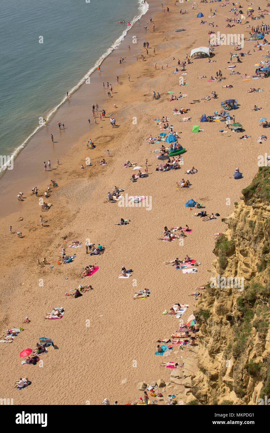 Visitors to East Cliff beach adjacent to West Bay and its harbour sunbathing and swimming. Viewed from the top of East Cliff looking westwards on the  Stock Photo