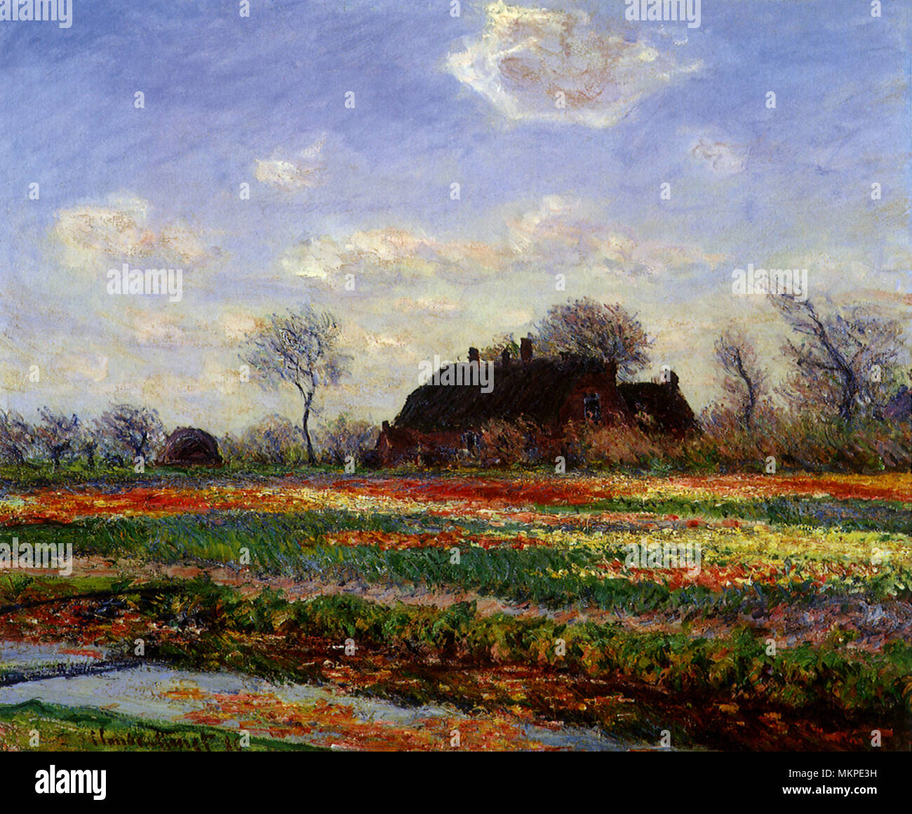 Claude monet, tulip fields hi-res stock photography and