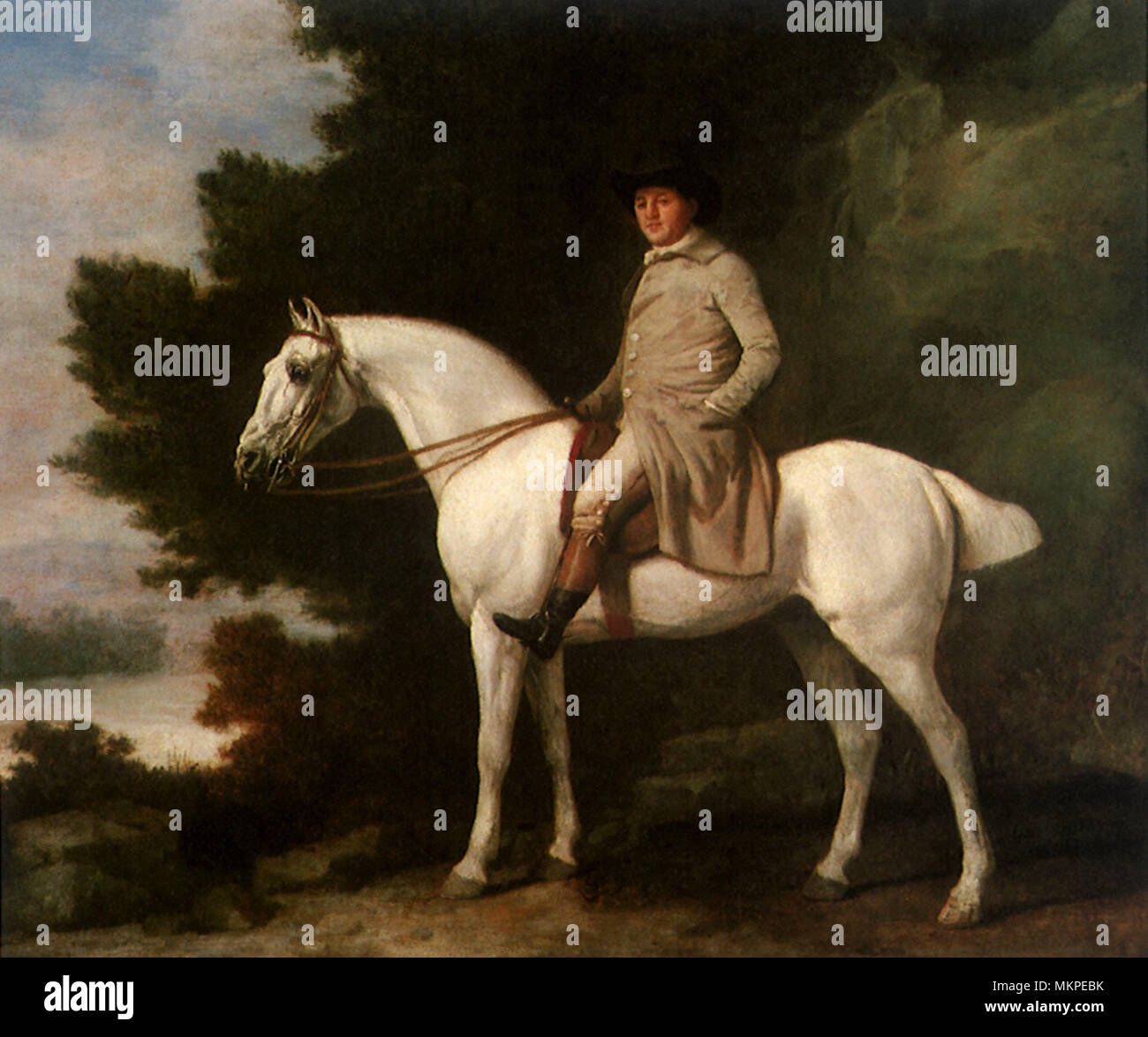 A Gentleman on a Grey Horse Stock Photo