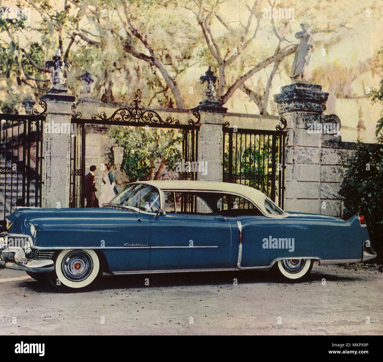 1954 Cadillac Stock Photo