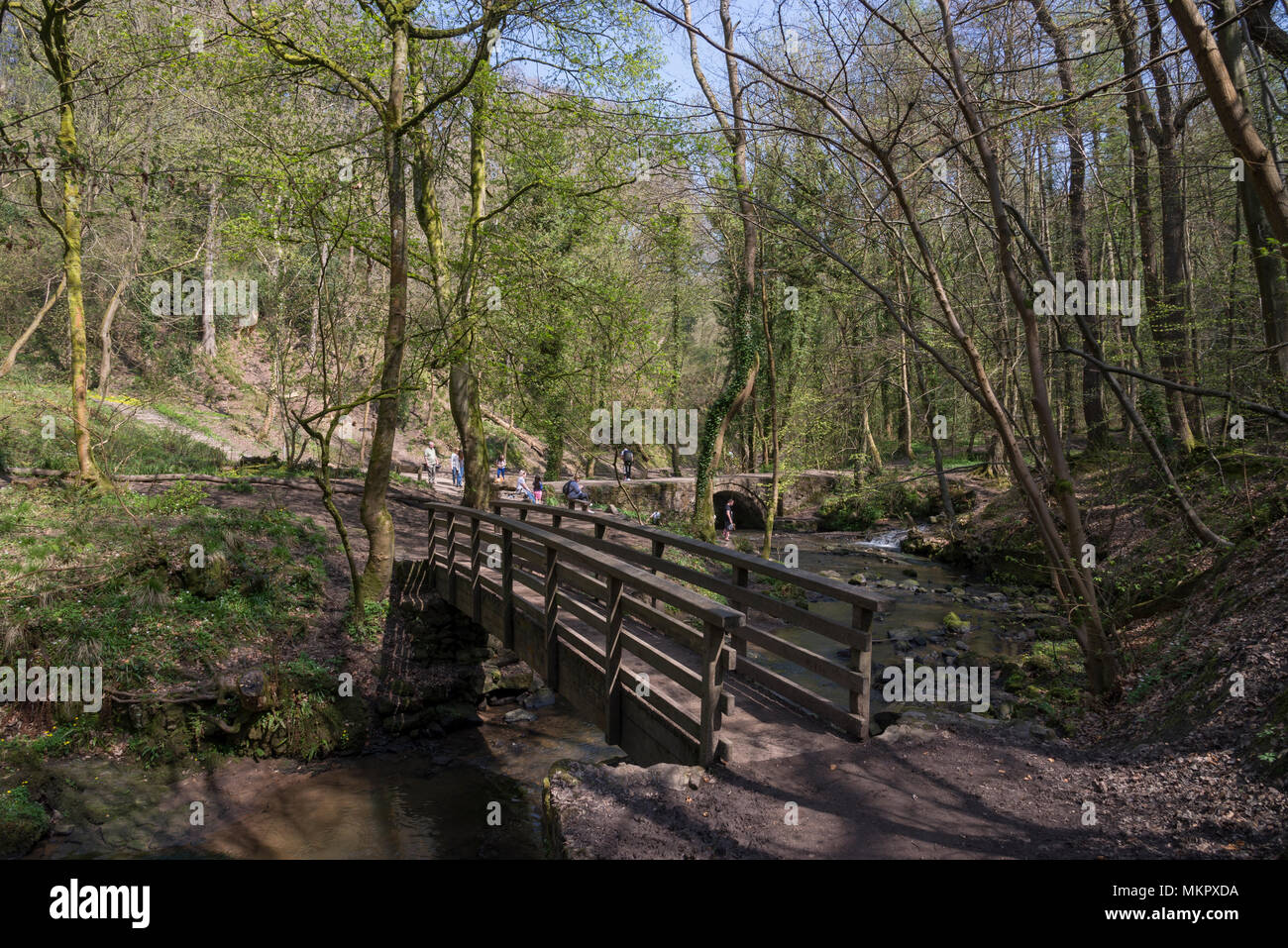 Small bridge over the stream below Ewloe castle at Wepre country park near Ewloe, North Wales. Stock Photo