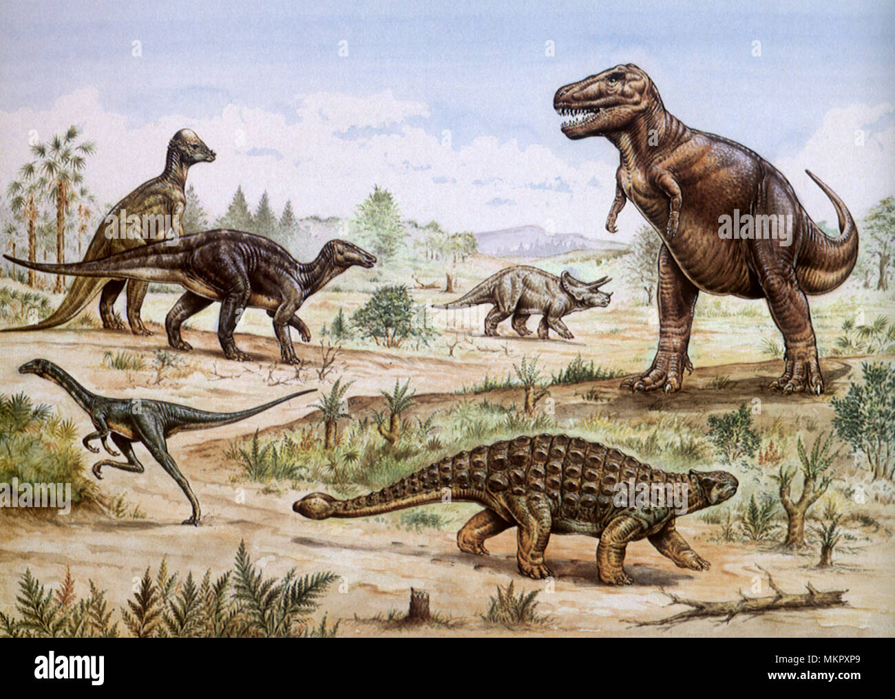 Various Dinosaurs in the Late Cretaceous Period Stock Photo