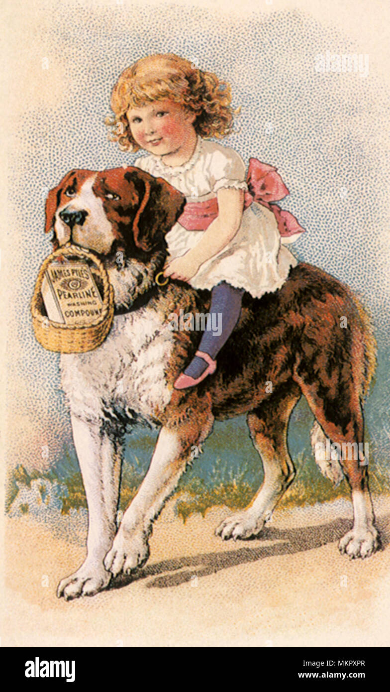 Girl rides a Saint Bernard Stock Photo - Alamy