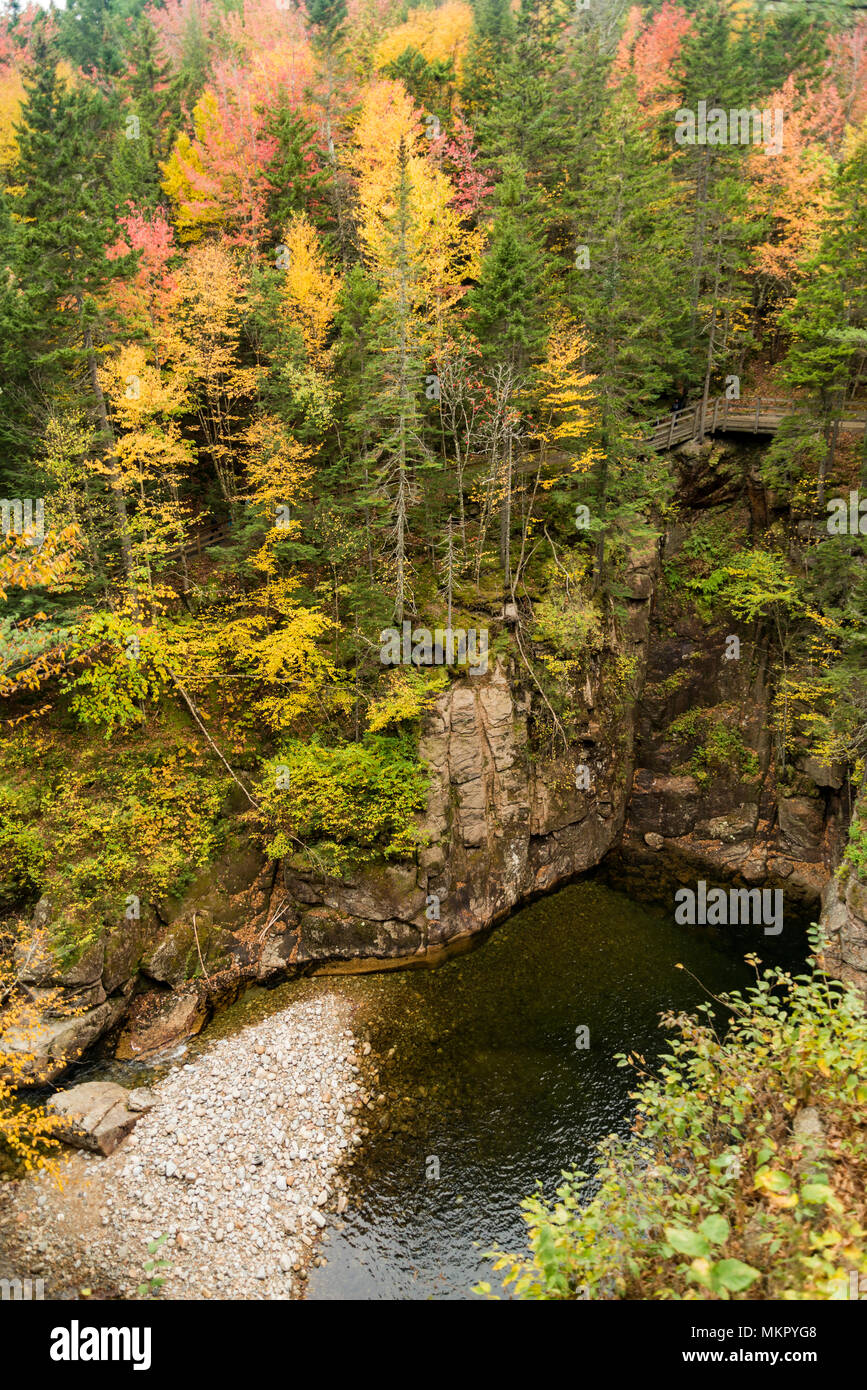 Fall Foiliage in Franconia Notch State Parke Stock Photo
