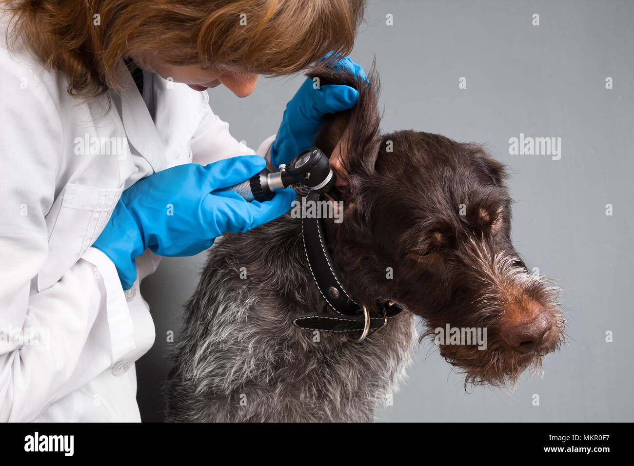 Ear clinic hires stock photography and images Alamy