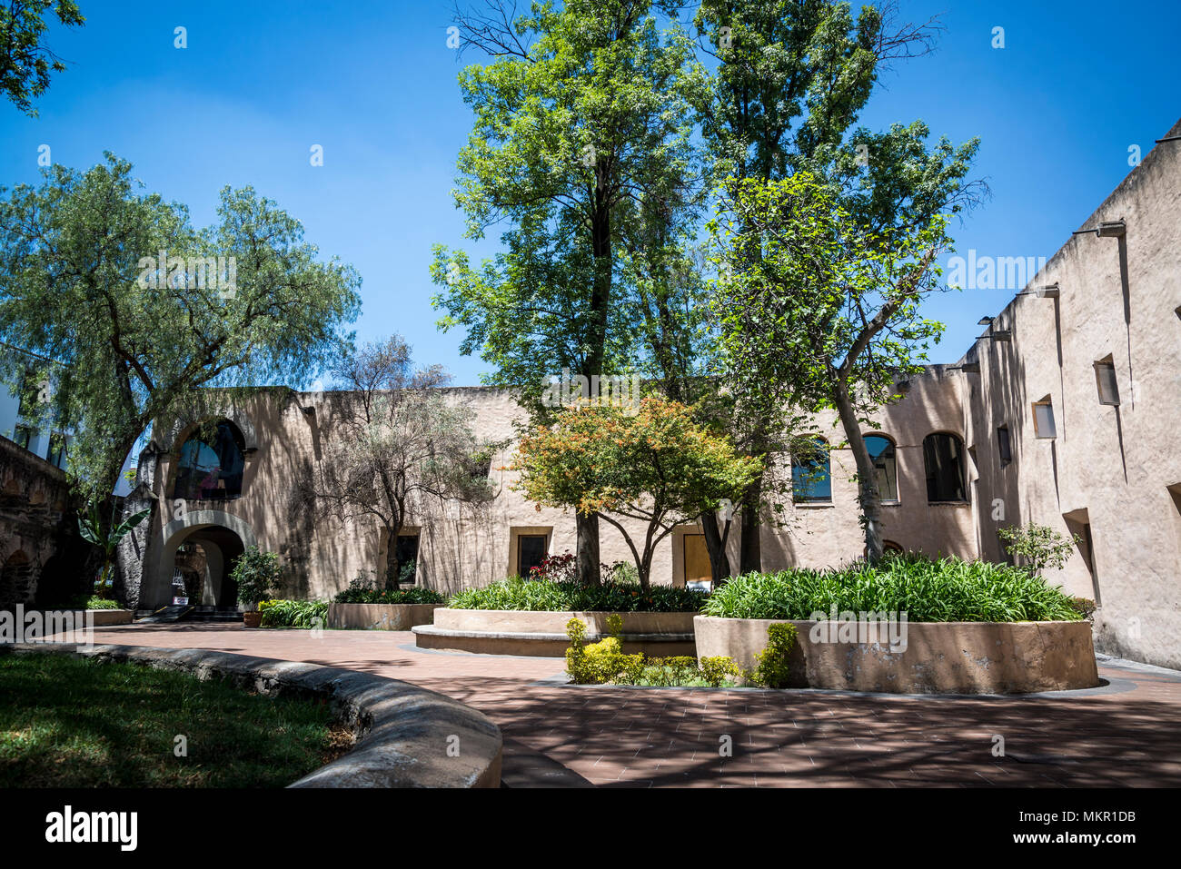 Courtyard, Ex-Convento del Carmen, a former monastery converted to museum, San Ángel, Mexico City, Mexico Stock Photo