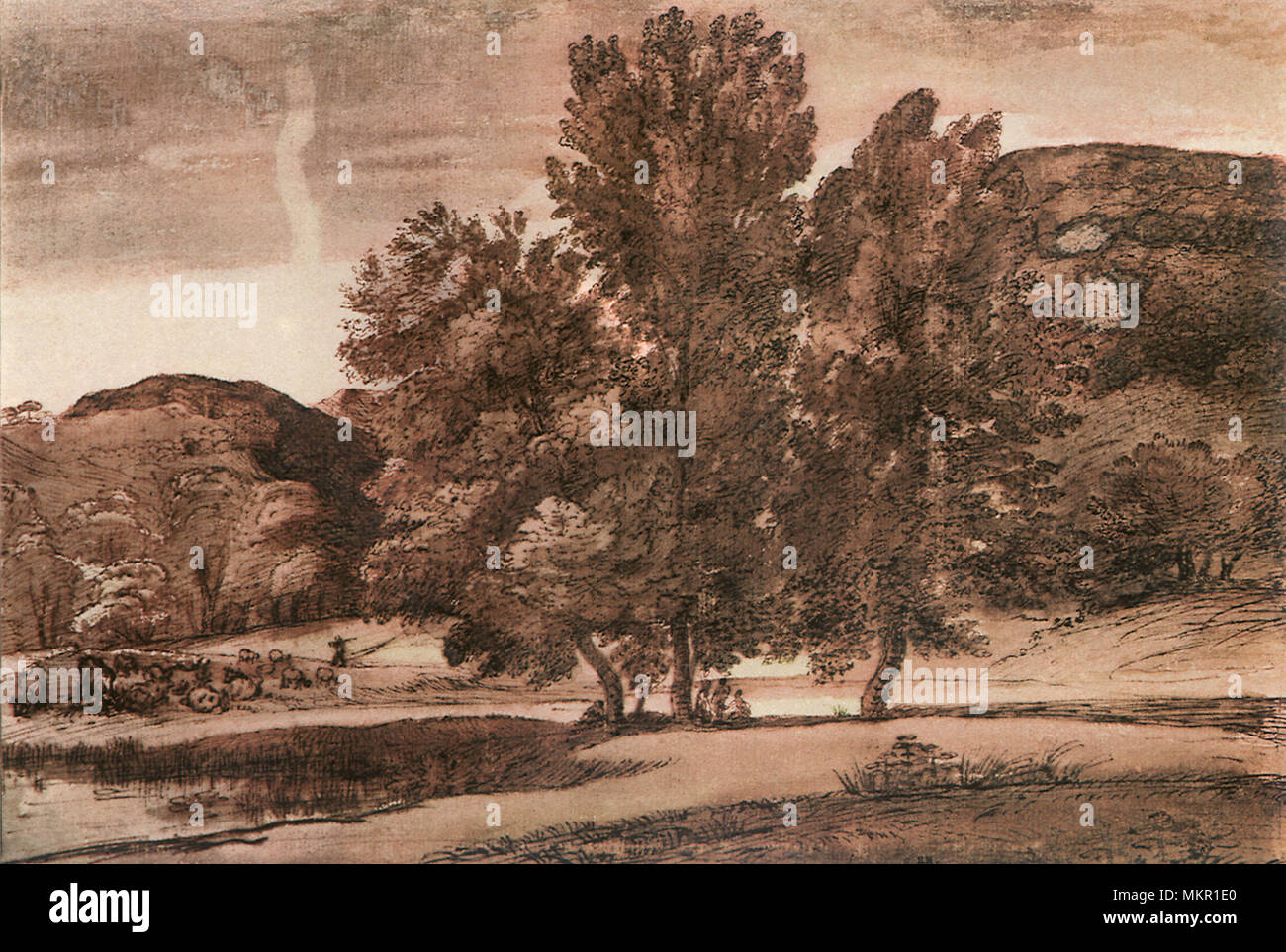 Group of Trees in a Vale Stock Photo Alamy