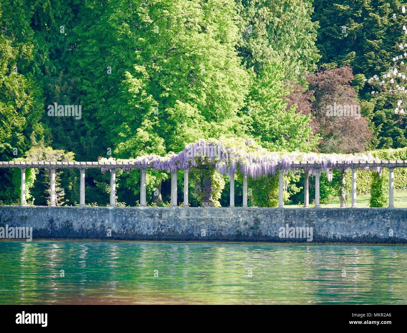 Wisteria arbor hi-res stock photography and images - Alamy