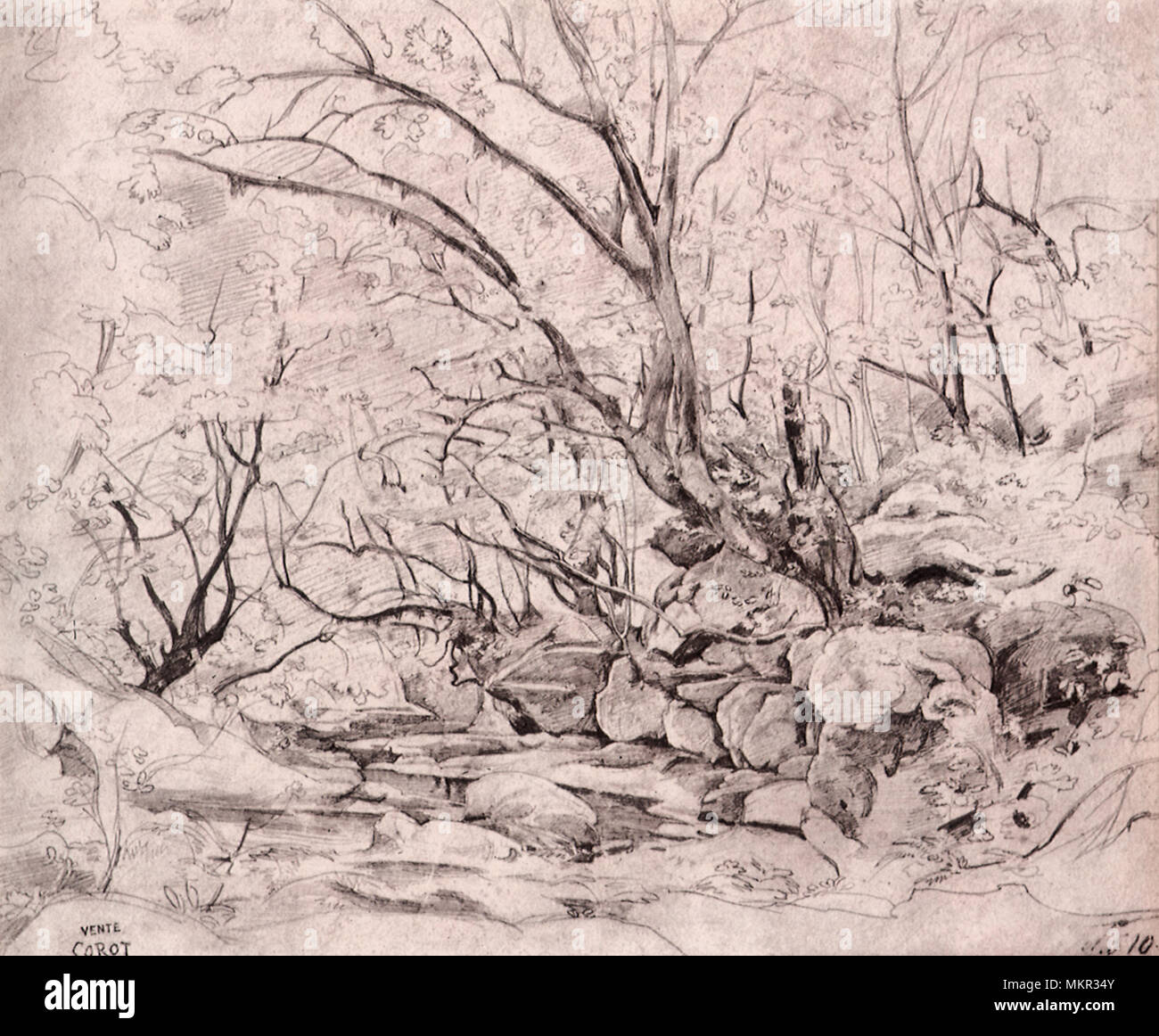 Rocky forest scene hi-res stock photography and images - Alamy