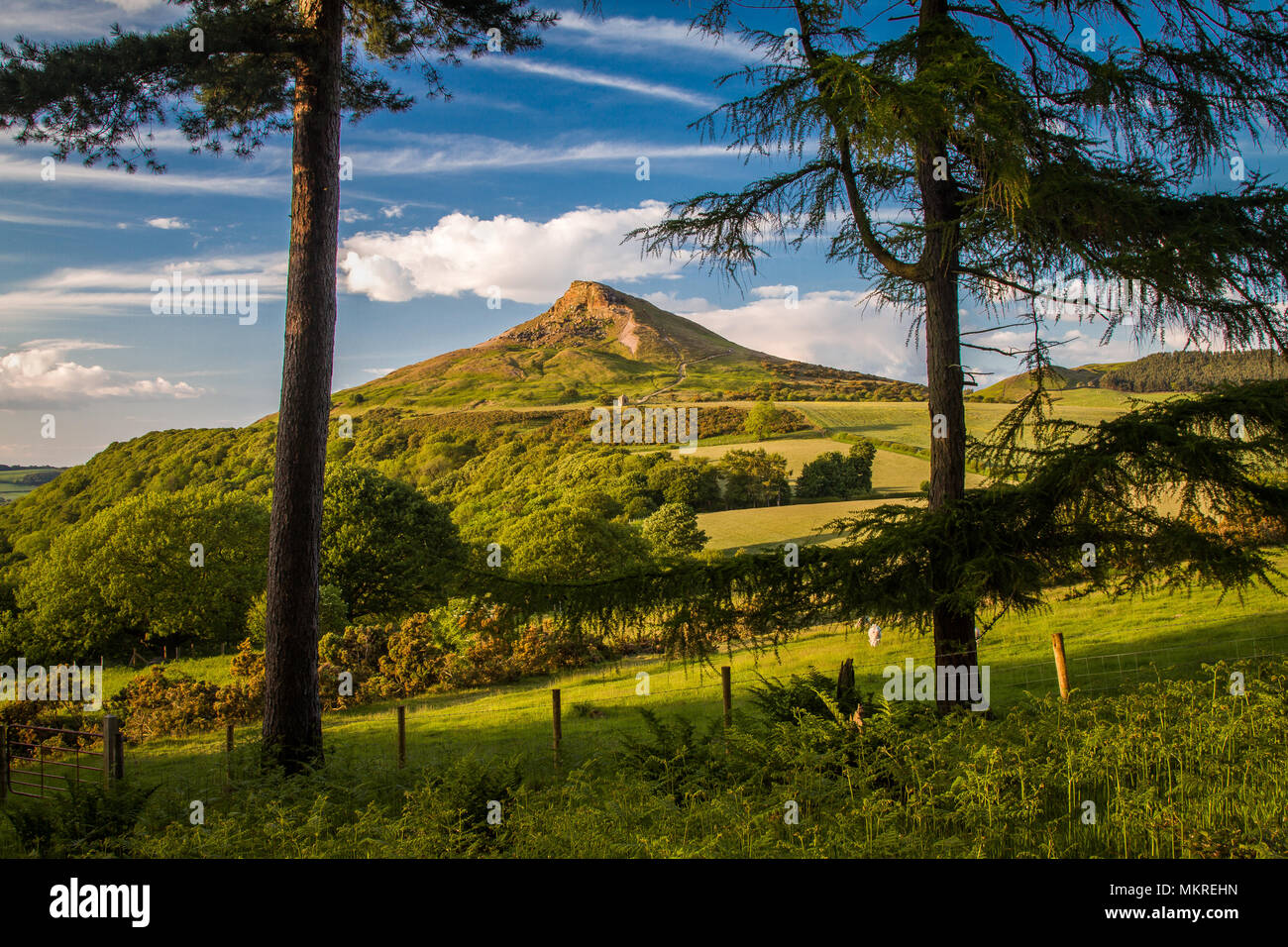 View of Roseberry Topping North Yorkshire Moors Stock Photo