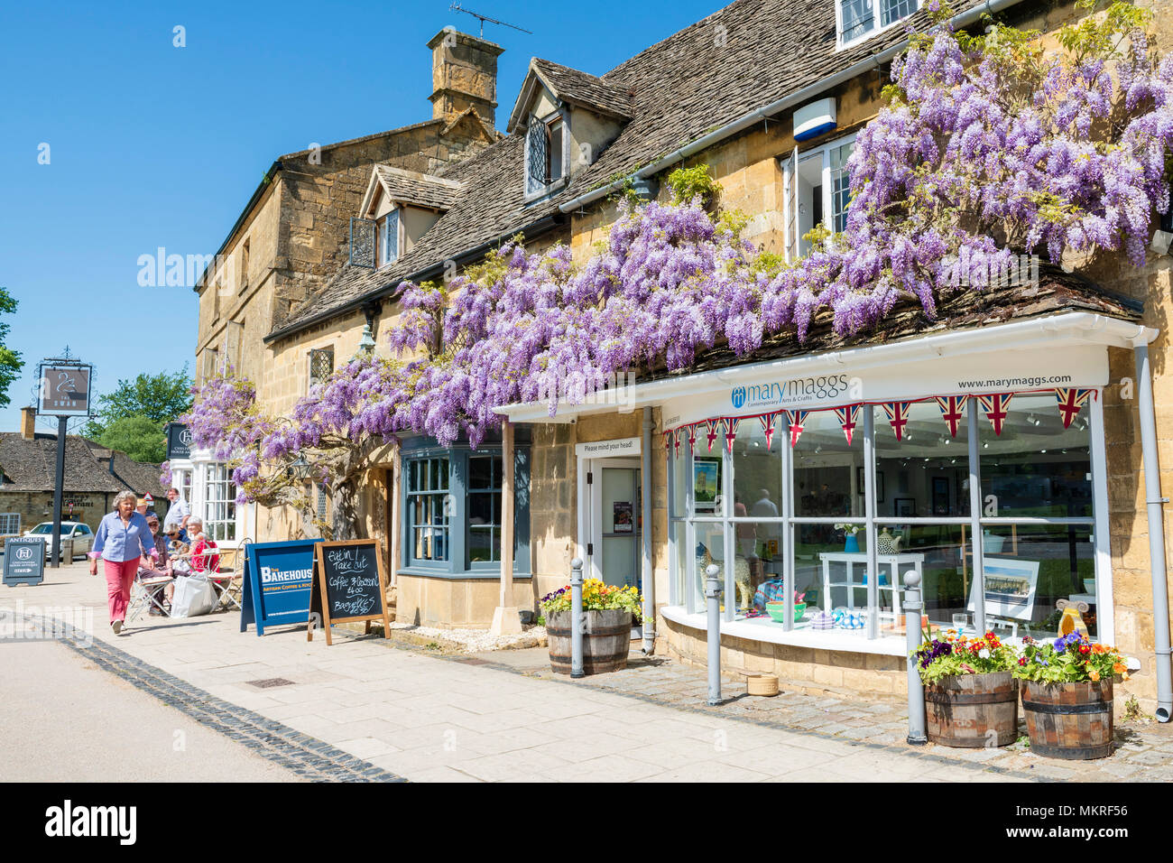 Broadway, Cotswolds, UK. Wisteria in flower, mature specimen plant in the Cotswold village of Broadway. Stock Photo