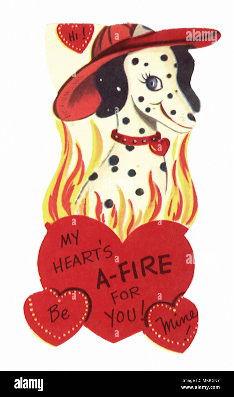 Dalmation Dog with Fireman Hat Valentine Stock Photo