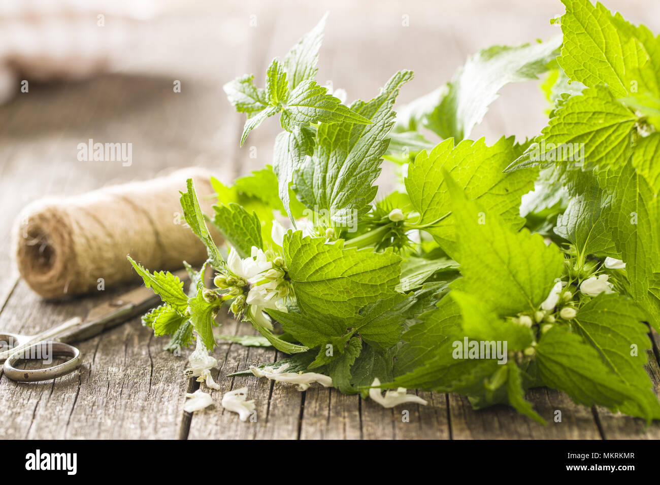 White dead nettle on old wooden table. Stock Photo
