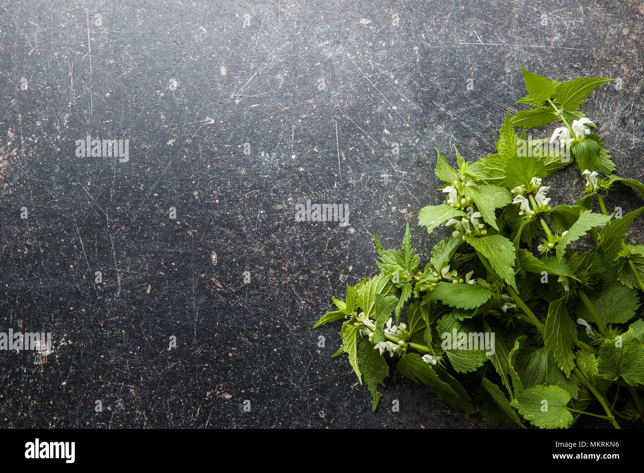 White dead nettle on old table. Stock Photo
