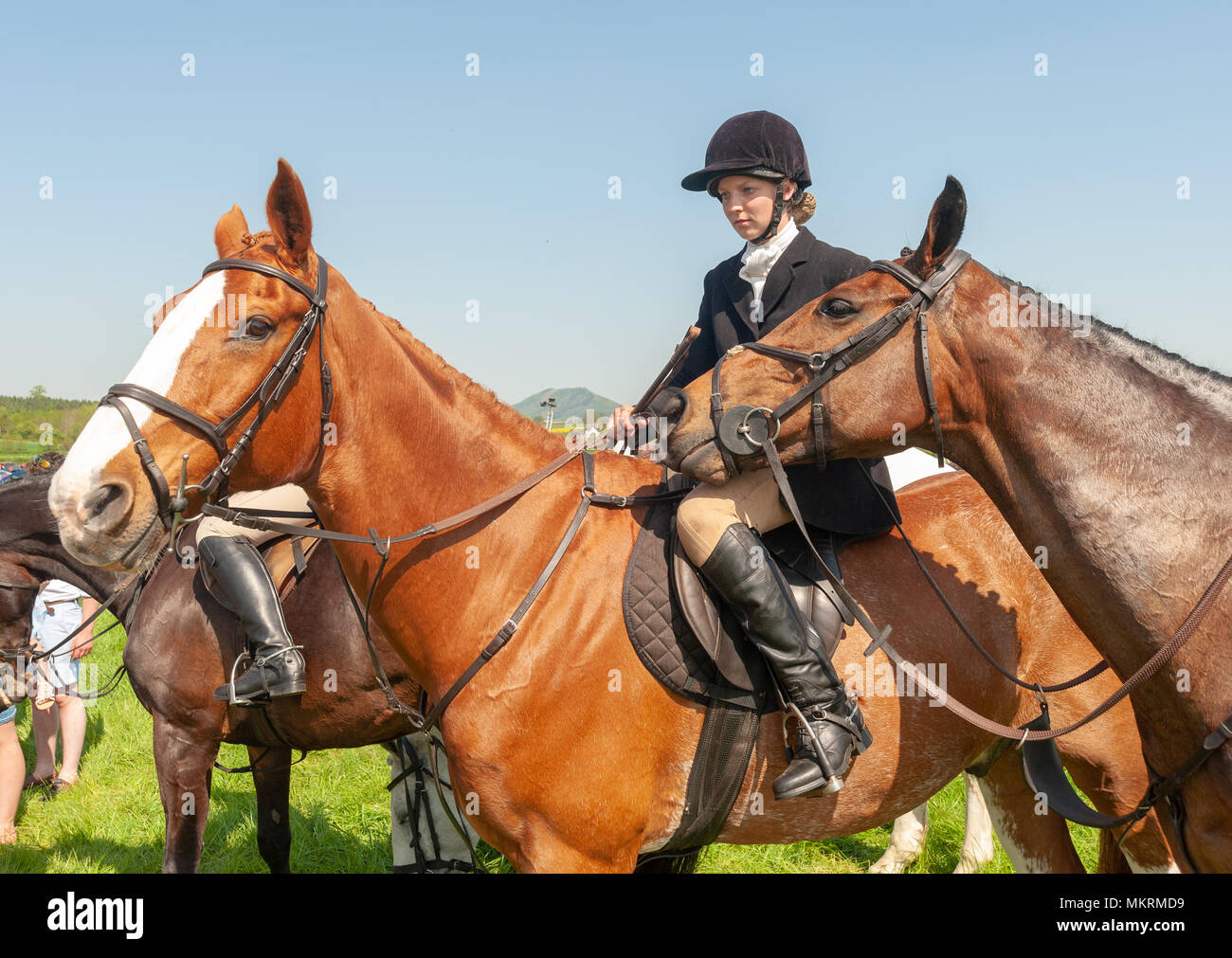 Young women in hunting clothes on horse Eyton on Severn Point to Point
