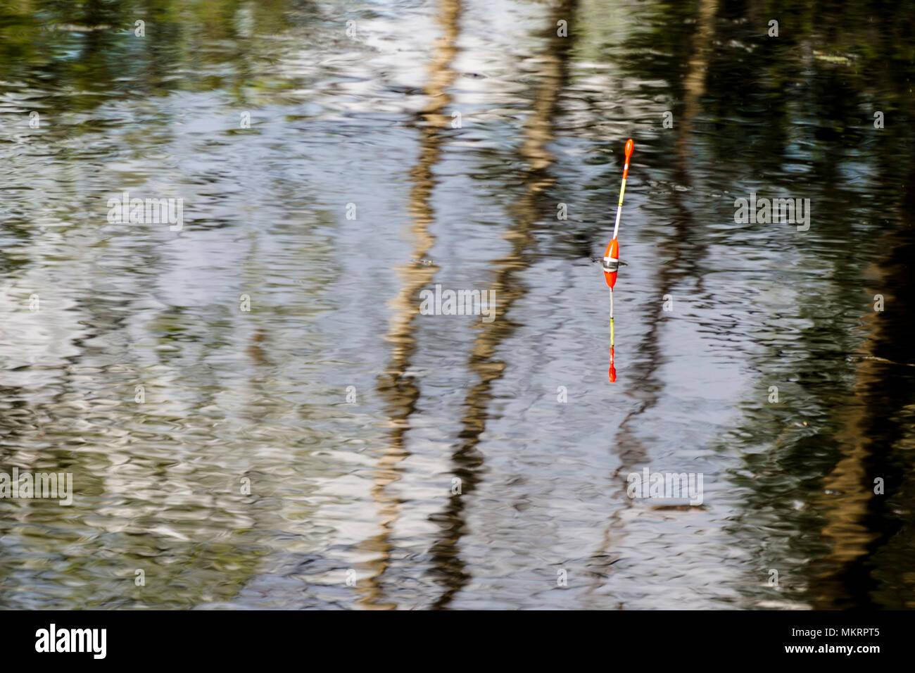 fishing float on the water, Bobber Stock Photo - Alamy