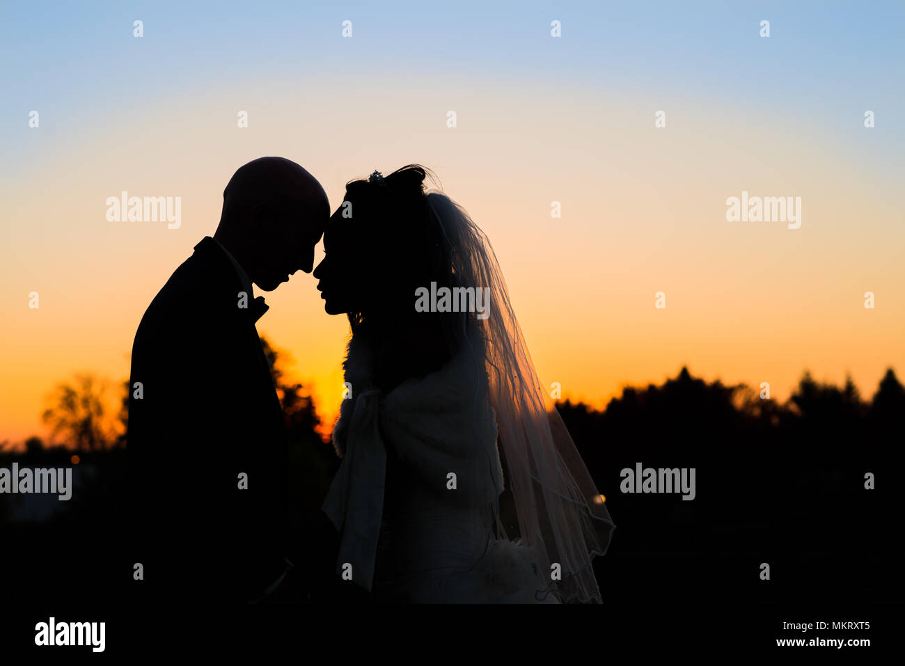 Silhouette of Bride and Groom Against The Sunset Stock Photo - Alamy