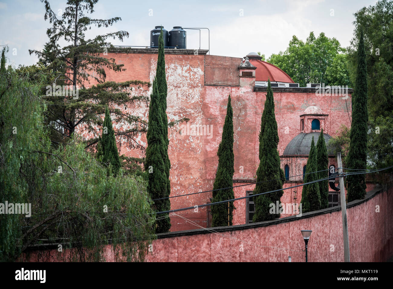 Old house surrounded with cypress trees, San Angel, Mexico City, Mexico Stock Photo Alamy
