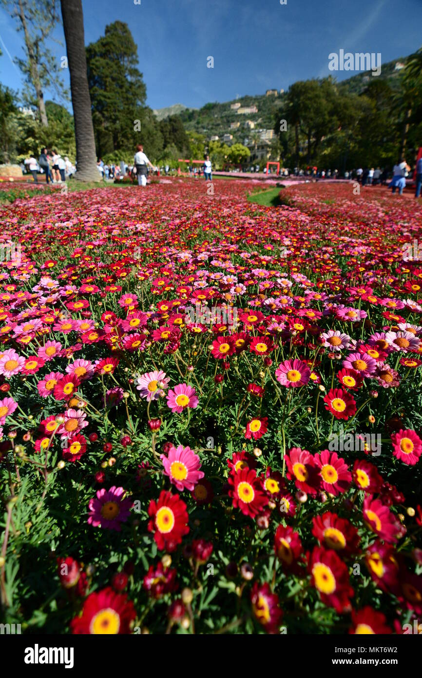 Euroflora is an exhibition of the flower and the ornamental plant is one of  the main floral exhibitions taking place in the Mediterranean Genoa Italy  Stock Photo - Alamy