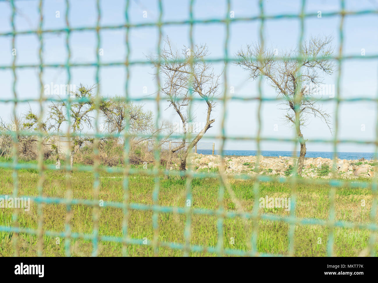 Trees grass fence hi-res stock photography and images - Alamy