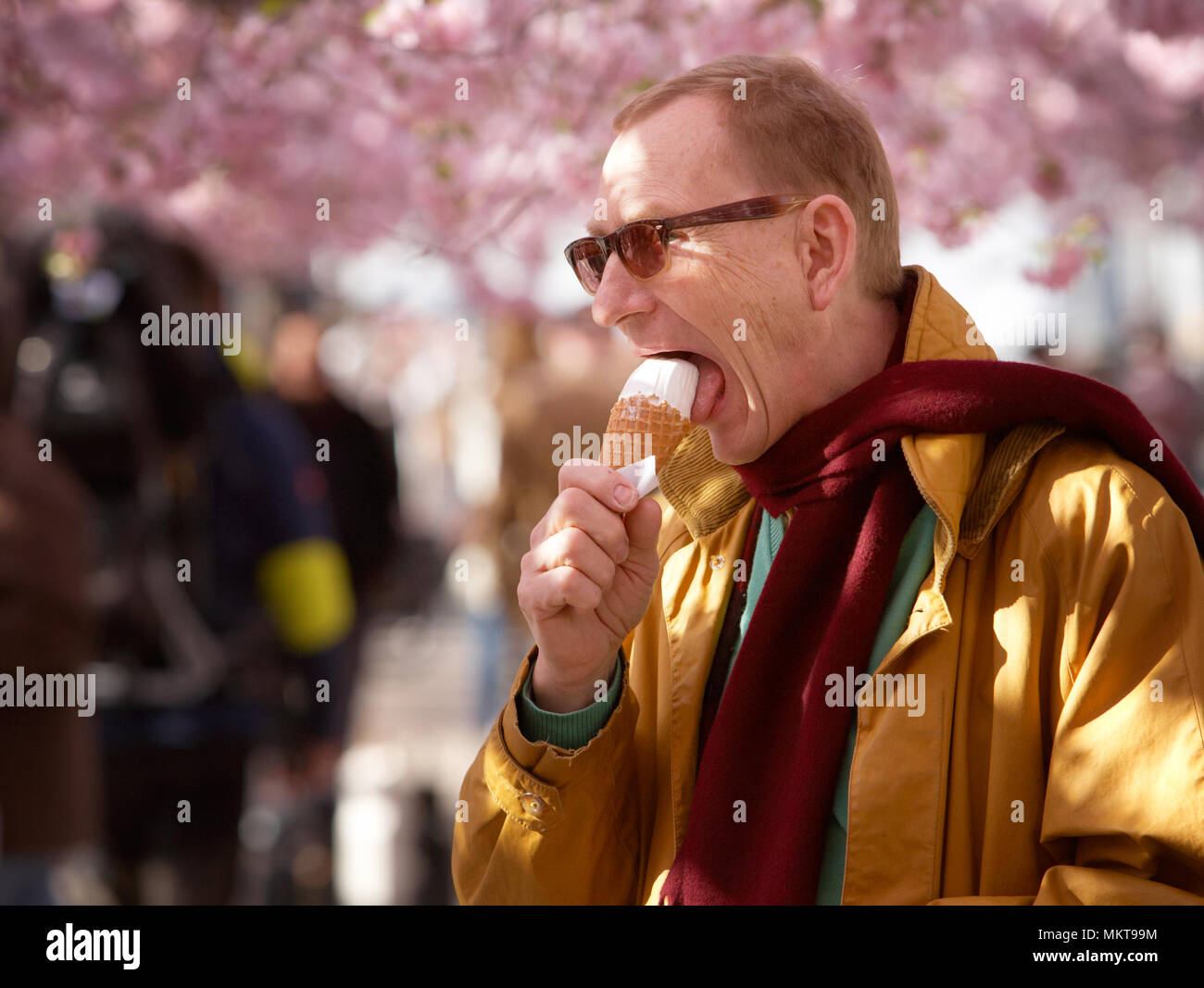 A man eats ice cream when the Japanese cherry trees blossom in the Royal park in Stockholm April 30, 2012 Stock Photo