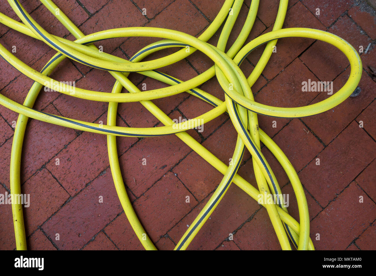 A yellow garden hose forms an interesting pattern of curves on a brick sidewalk Stock Photo