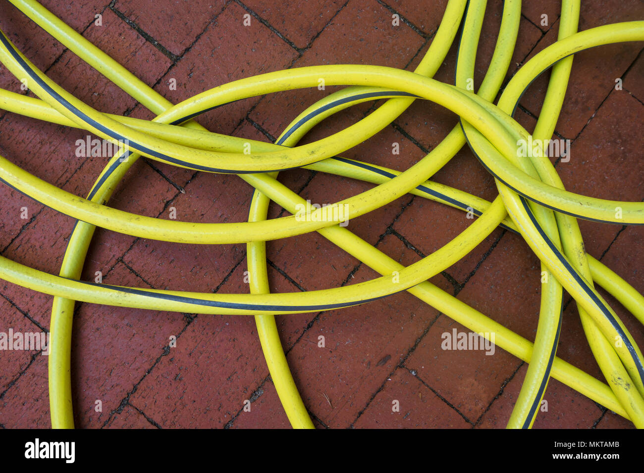 A yellow garden hose forms an interesting pattern of curves on a brick sidewalk Stock Photo
