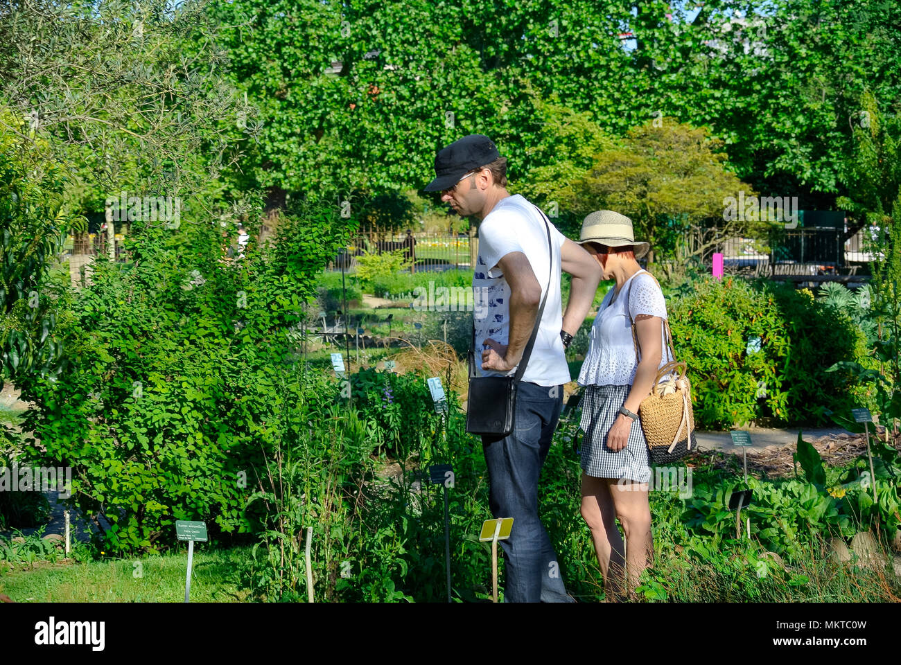 Caucasian couple looking at plants, Jardin des Plantes, Paris, France Stock Photo