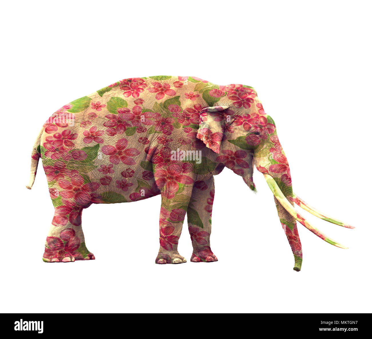 Elephant with flowers isolated on white background Stock Photo - Alamy