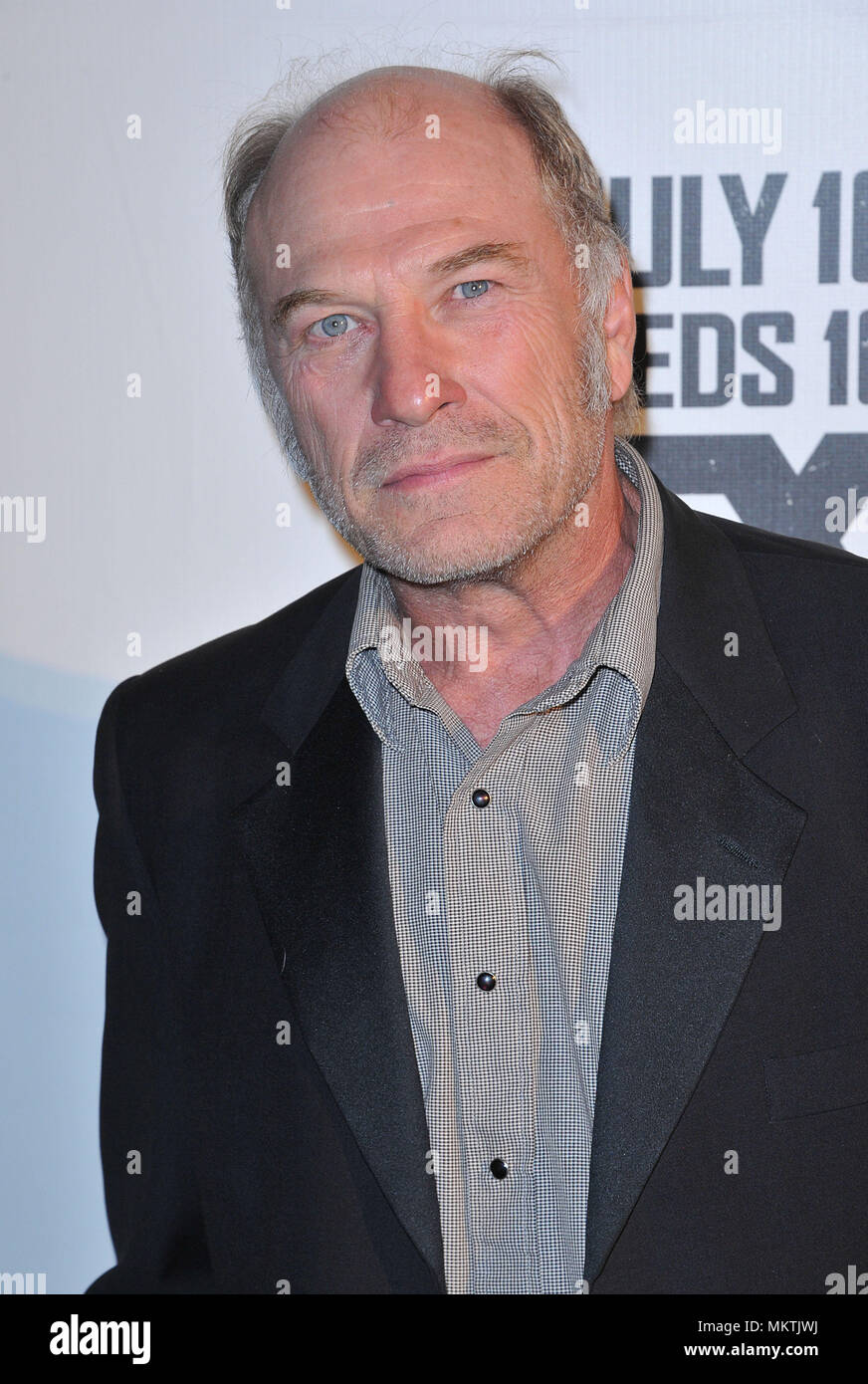 Ted Levine at the Bridge Premiere at the DGA Theatre In Los Angeles.Ted Levine Red Carpet Event, Vertical, USA, Film Industry, Celebrities,  Photography, Bestof, Arts Culture and Entertainment, Topix Celebrities fashion /  Vertical, Best of, Event in Hollywood Life - California,  Red Carpet and backstage, USA, Film Industry, Celebrities,  movie celebrities, TV celebrities, Music celebrities, Photography, Bestof, Arts Culture and Entertainment,  Topix, headshot, vertical, one person,, from the year , 2013, inquiry tsuni@Gamma-USA.com Stock Photo
