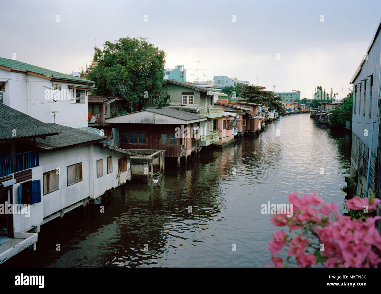 Bangkok Canals - Khlong Mon Canal in Bangkok in Thailand in Southeast Asia Far East. Thai Urban City Landscape Travel Stock Photo
