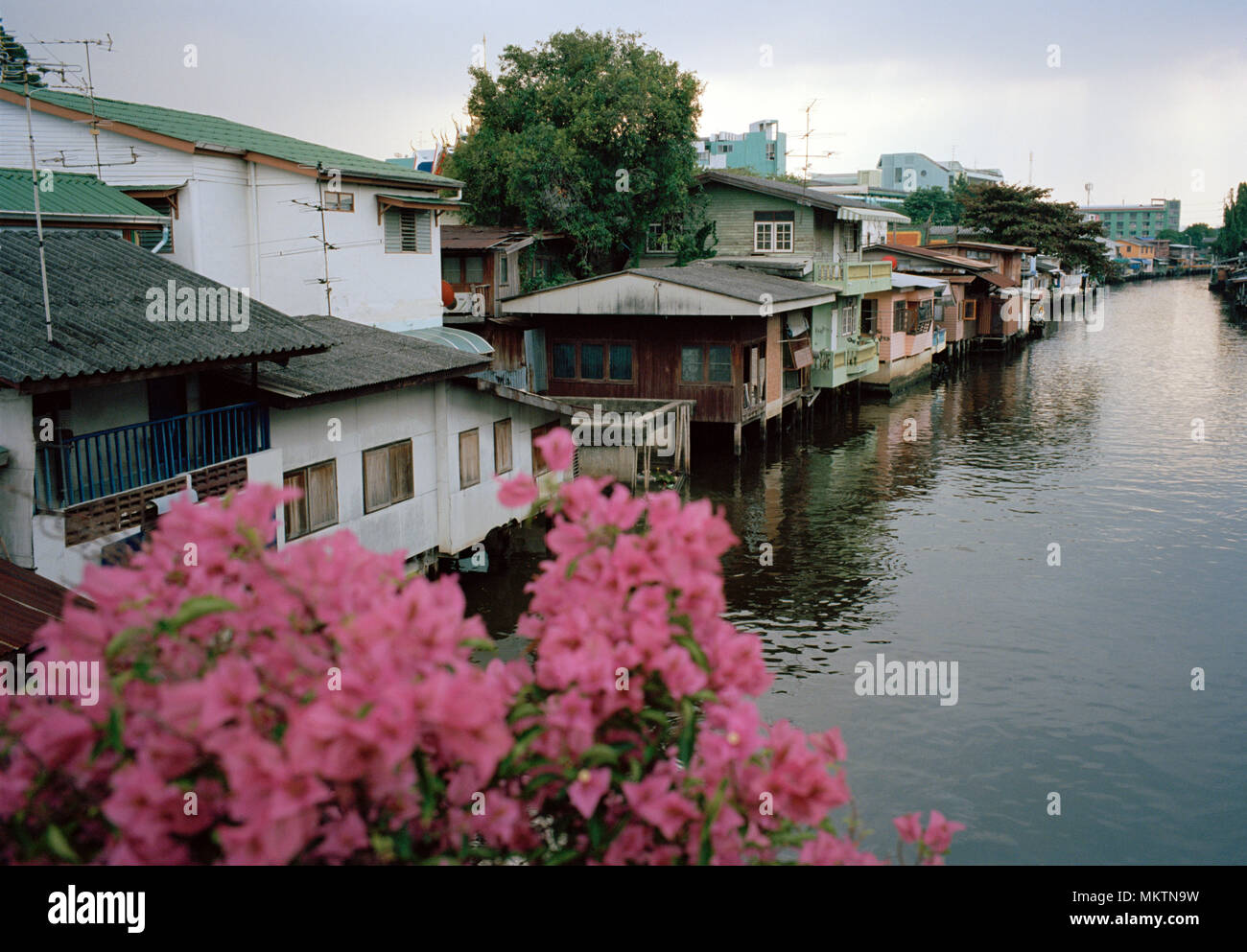 Bangkok Canals - Khlong Mon Canal in Bangkok in Thailand in Southeast Asia Far East. Thai Urban City Landscape Travel Stock Photo