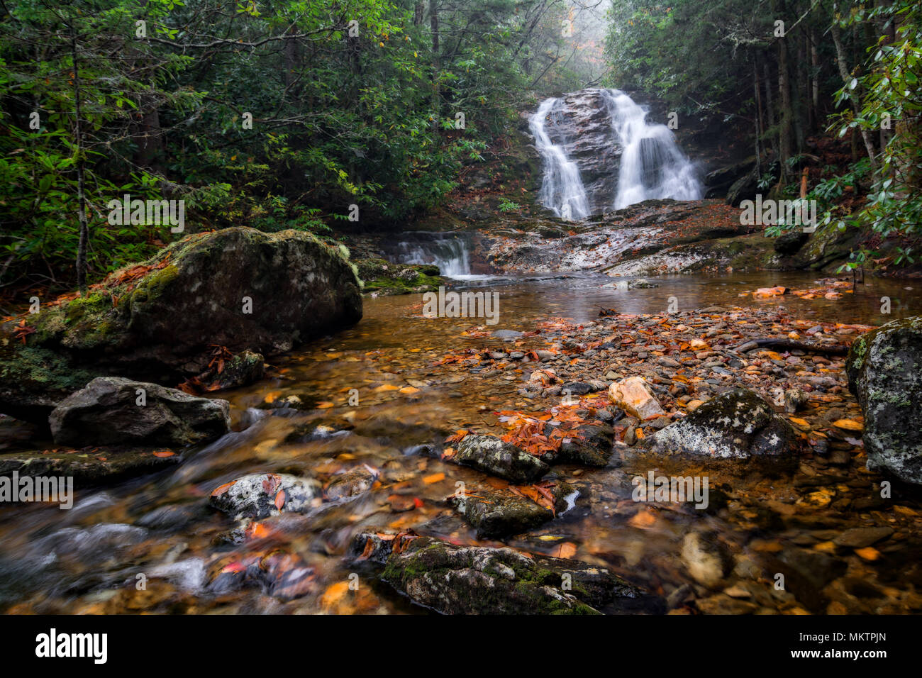 Lower Bubbling Spring Branch Falls in North Carolina. A very beautiful 20 foot waterfall near the Blue Ridge Parkway. Seen here in fall on a rainy day Stock Photo