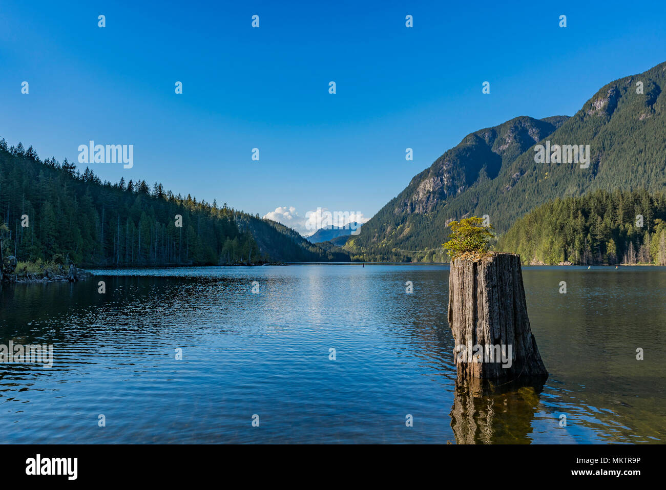 Buntzen Lake Reservoir Recreation Area, Anmore, British Columbia, Canada Stock Photo Alamy
