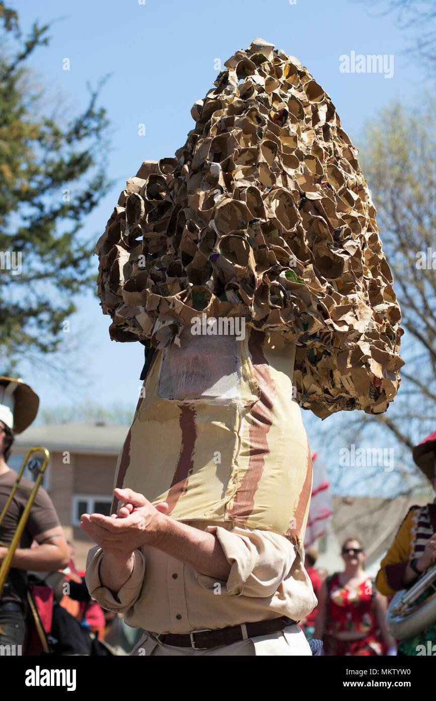 Morel Mushroom High Resolution Stock Photography and Images Alamy