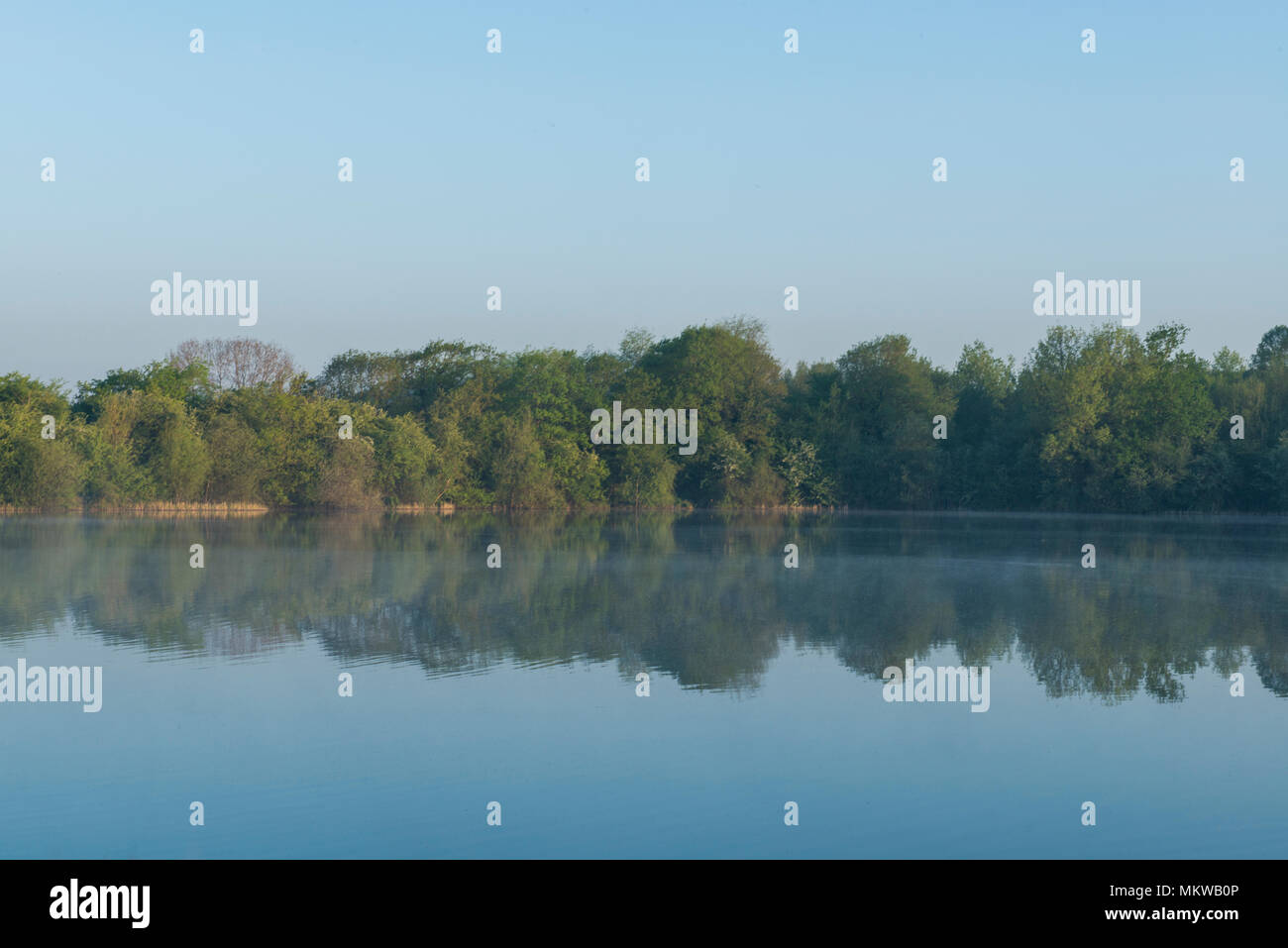 picture Blue Lagoon Lake Milton Keynes https www alamy com early morning mist rising from blue lagoon nature reserve bletchley milton keynes buckinghamshire on 8th may 2018 image184339590 html
