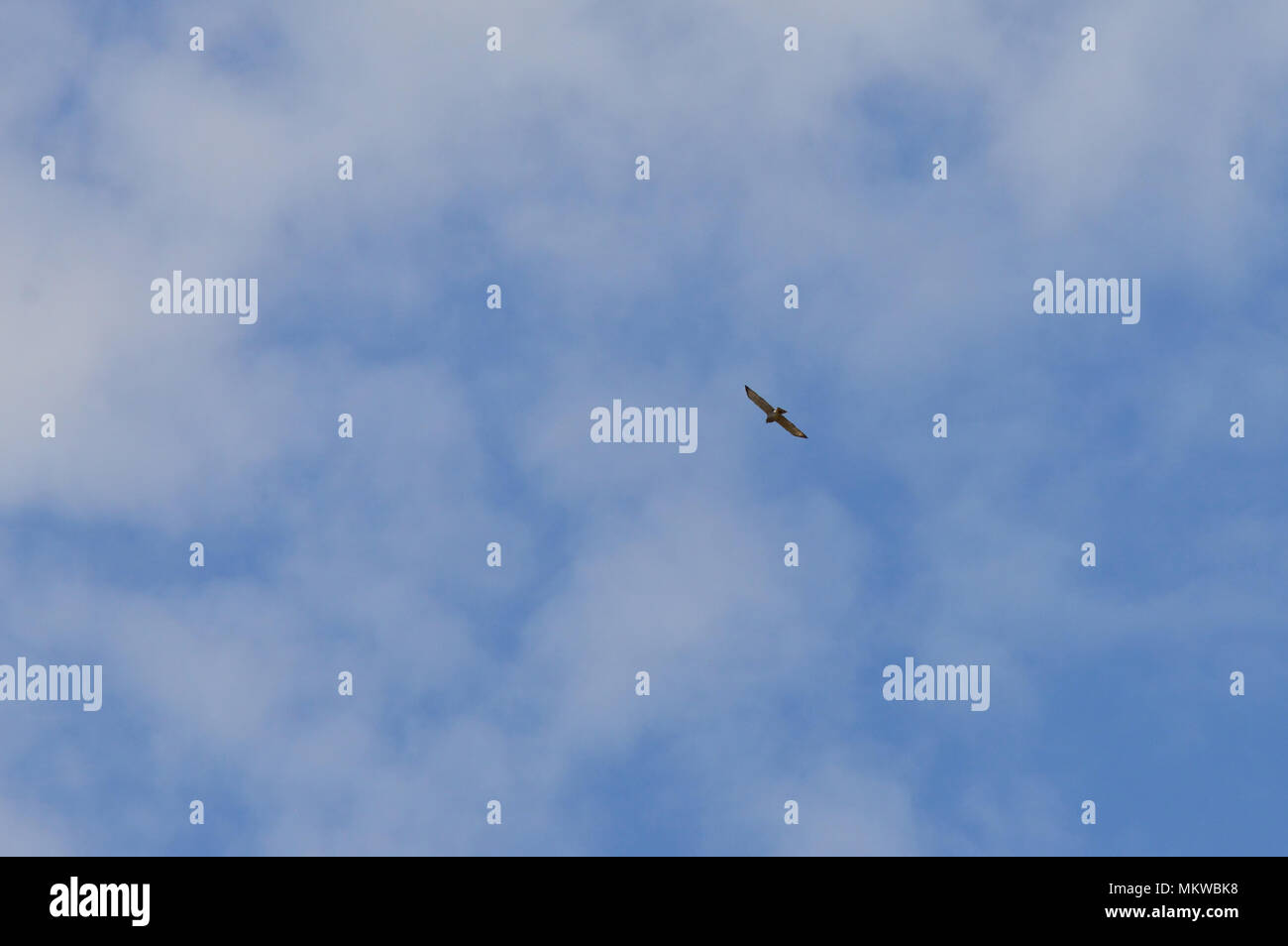 Circling hi-res stock photography and images - Alamy