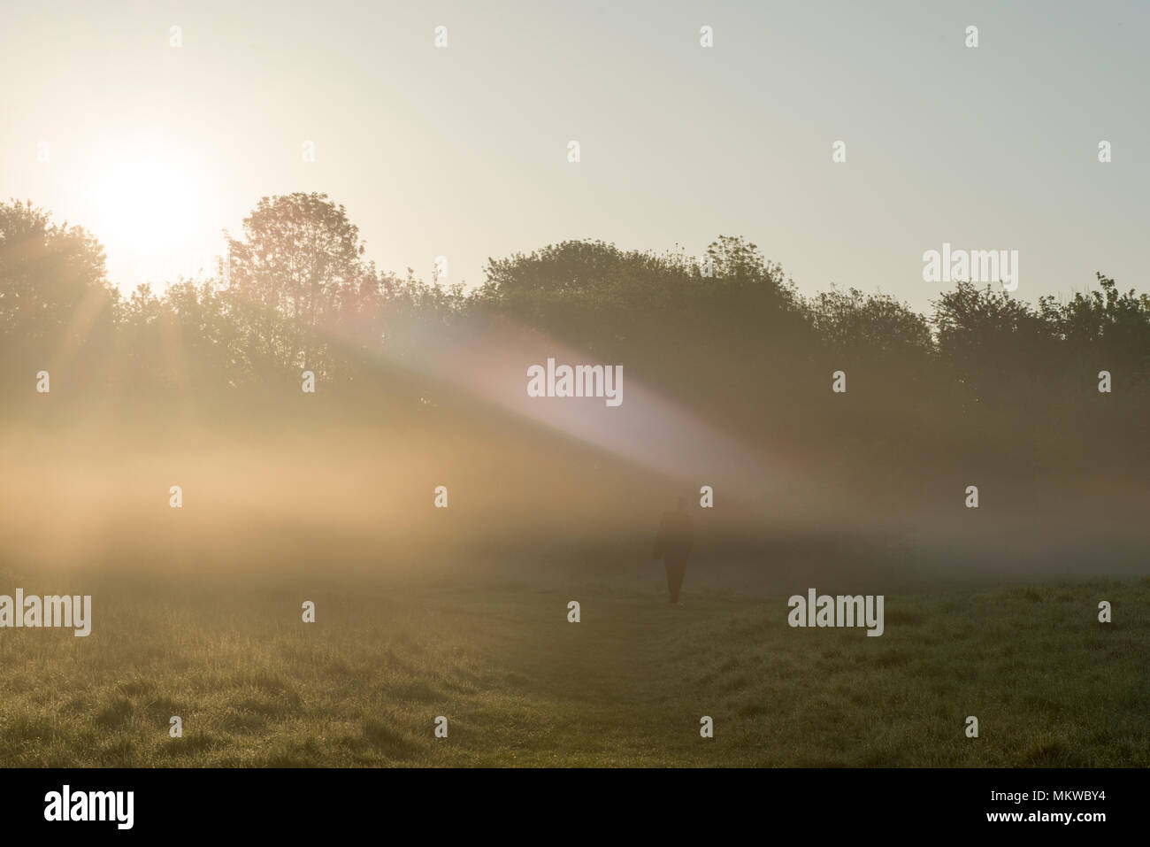 A solitary figure of a woman walking into the mist and early morning sunlight at Blue Lagoon Nature Reserve, Bletchley, Bucks on 8th May 2018 Stock Photo