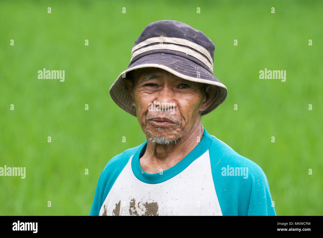 Portrait of a man in rice field Megelang District Central Java Indonesia Stock Photo