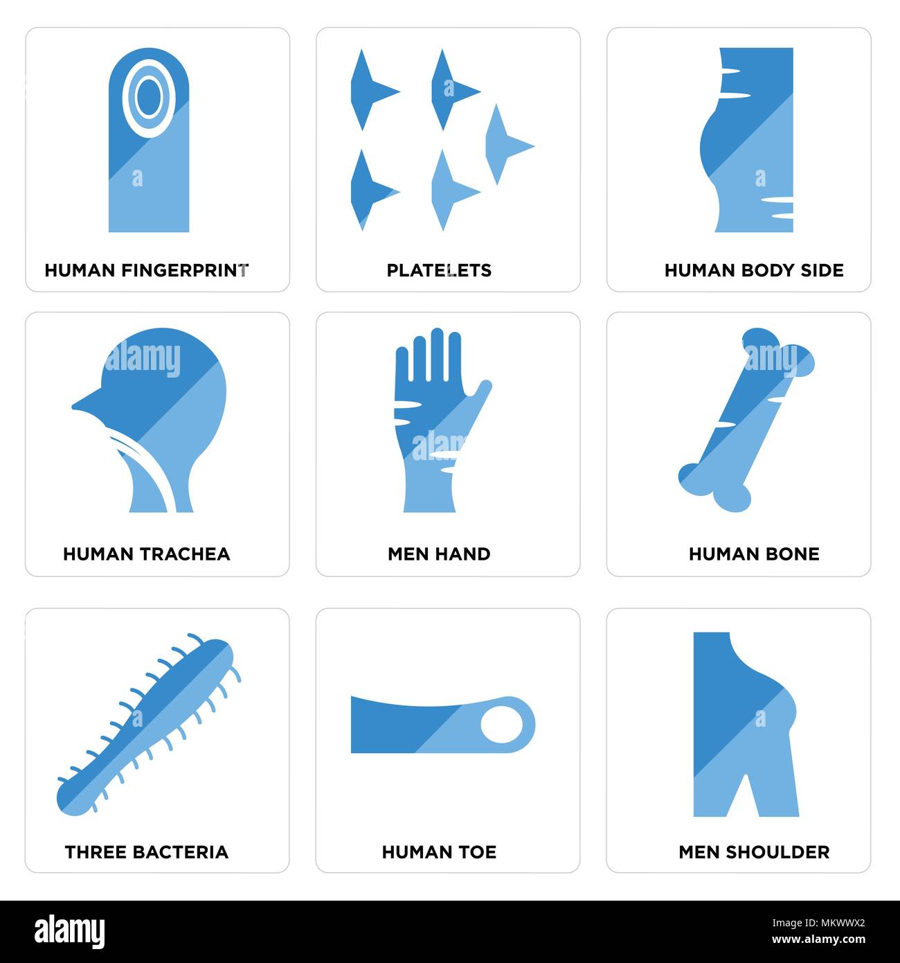 Set Of 9 simple editable icons such as Men Shoulder, Human Toe, Three ...