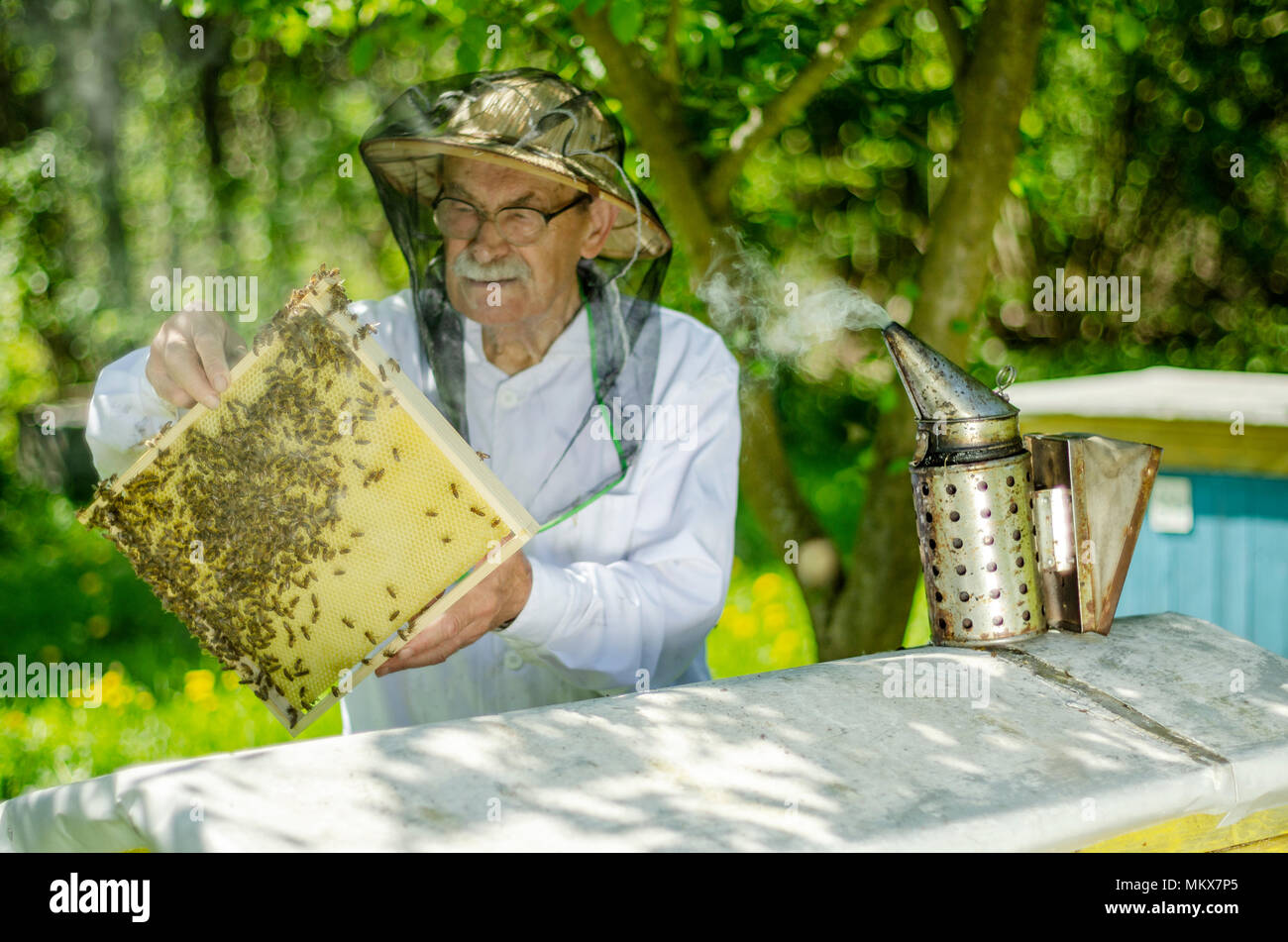 Bees for Development Journal Issue 146 - April 2023 by Bees for Development  - Issuu