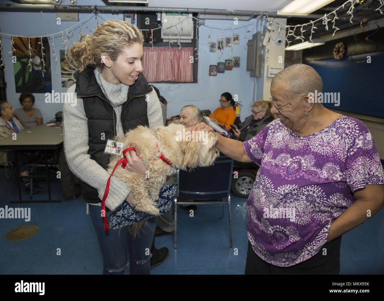Dog therapist with therapy dog visits regularly a senior center on the Lower East Side of Manhattan, New York City. Stock Photo