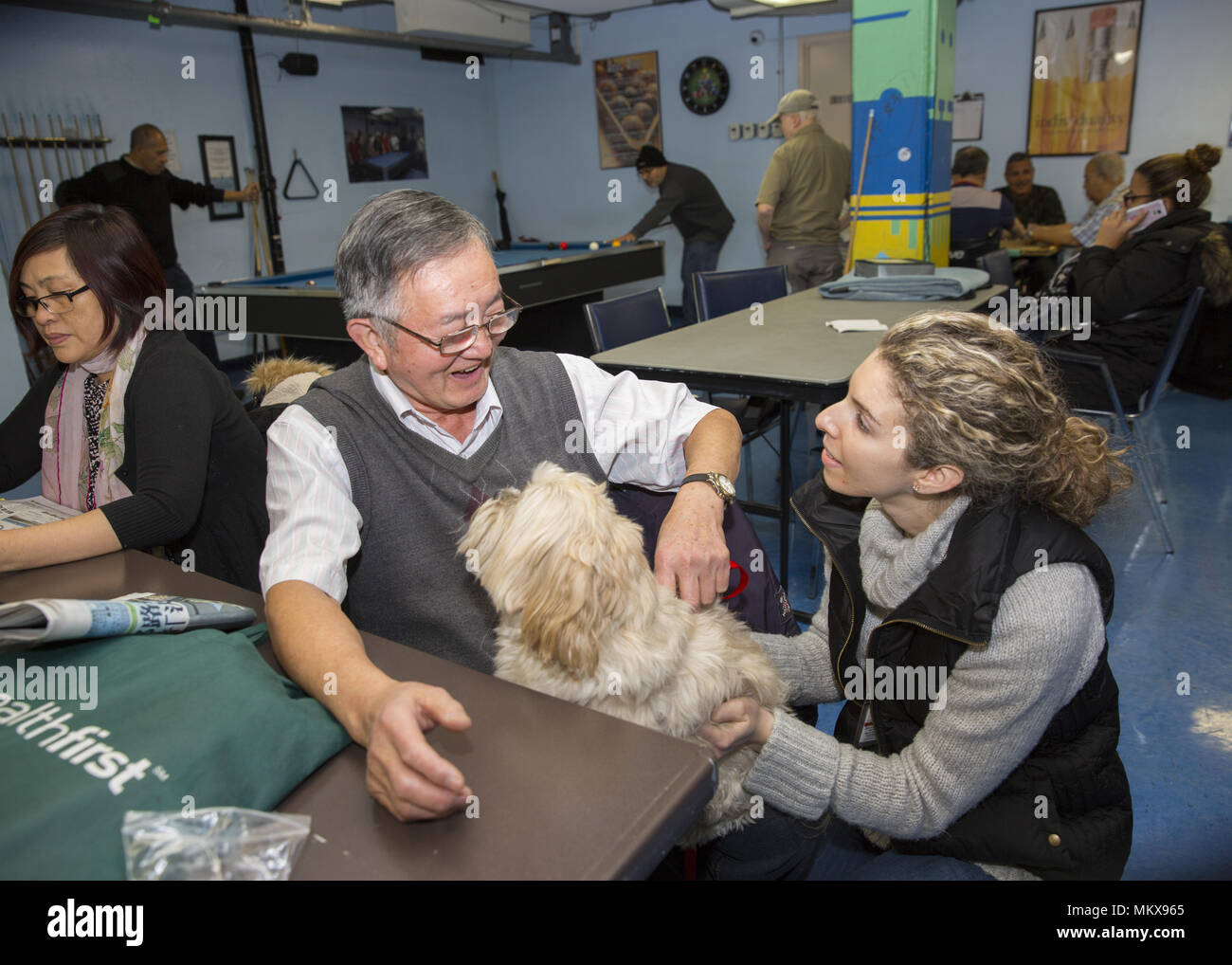 Dog therapist with therapy dog visits regularly a senior center on the Lower East Side of Manhattan, New York City. Stock Photo