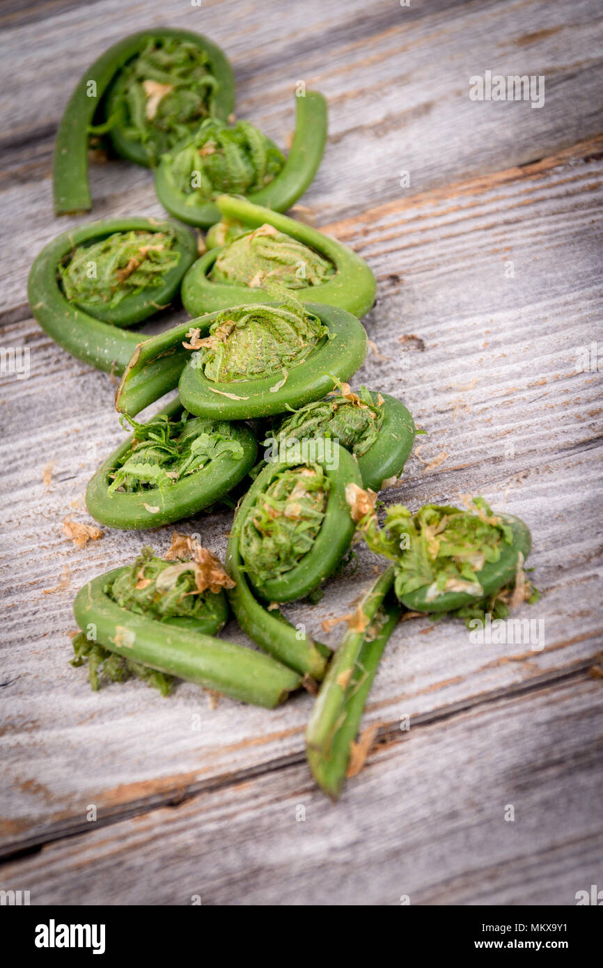 fresh edible fiddlehead fern over rustic wood background Stock Photo