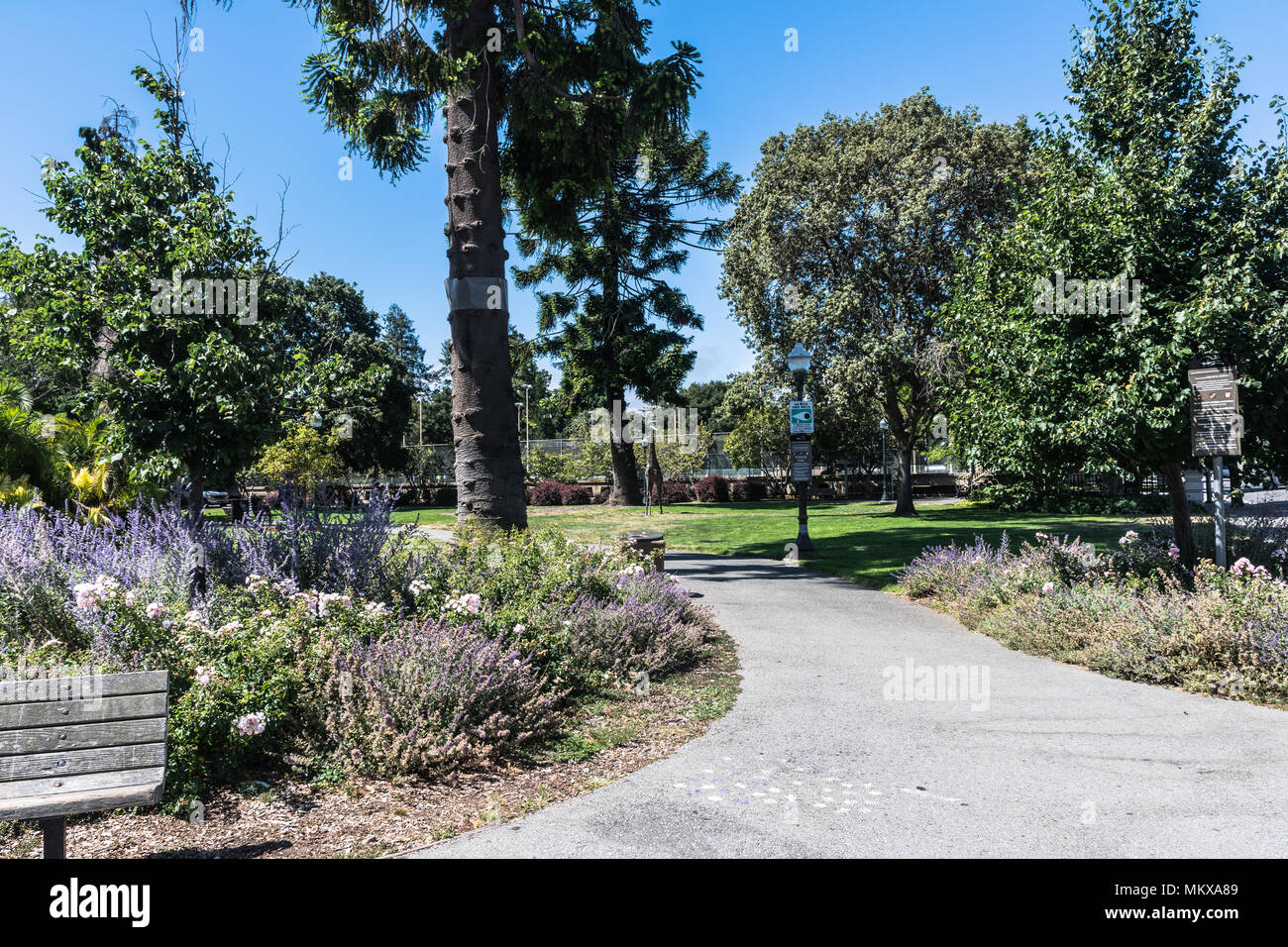 View Of The Japanese Gardens In San Mateo California Stock Photo
