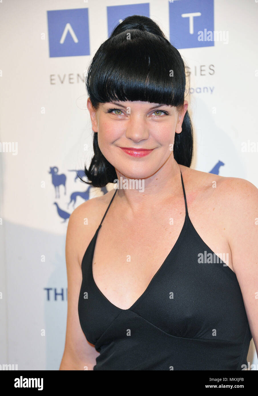 Best Celebrity Hairstyles - Pauley Perrette Haircut