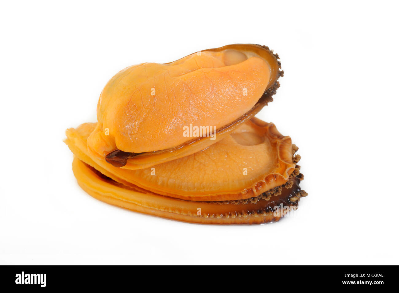 peeled mussel on white background Stock Photo